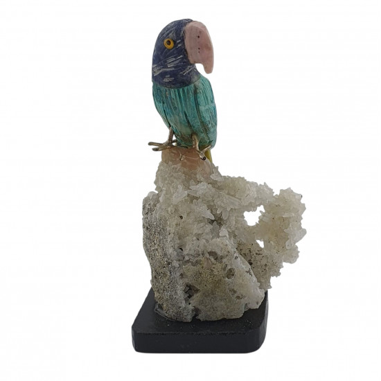 Parrot bird minerals