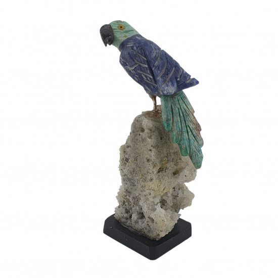 Parrot bird minerals