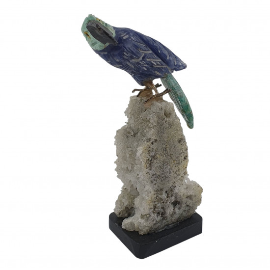 Parrot bird minerals