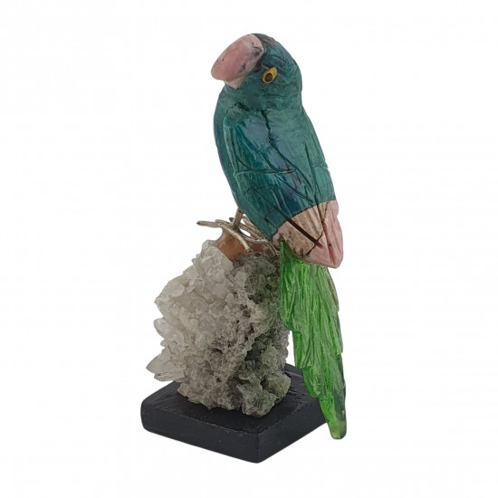 Parrot bird minerals