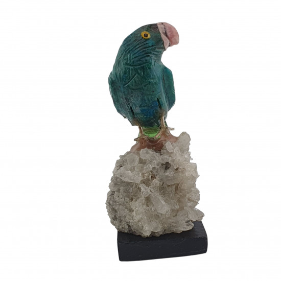 Parrot bird minerals