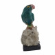 Parrot bird minerals