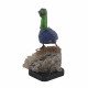duck bird minerals