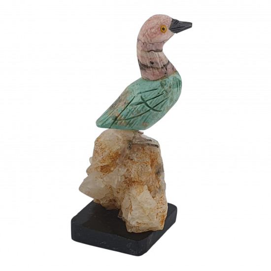 duck bird minerals