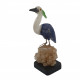 heron bird minerals