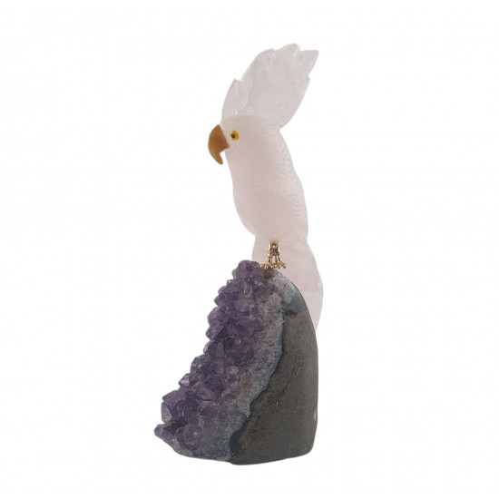 parrot rose quartz on amethyst