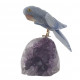 parrot blue aventurine on amethyst
