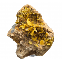 Wulfenite
