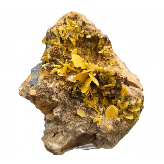 Wulfenite