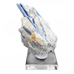 Kyanite on quartz