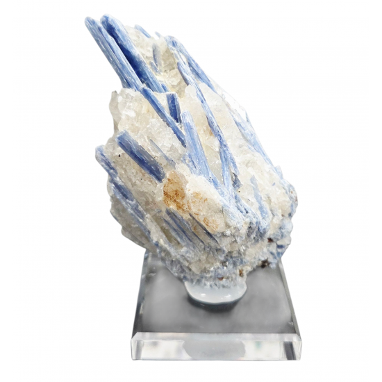 Kyanite on quartz Kyanite on quartz