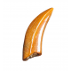 Deltadromeus agilis (premax tooth)