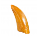 Deltadromeus agilis (premax tooth)
