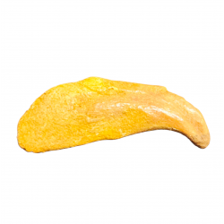 siroccopteryx moroccensis (claw)