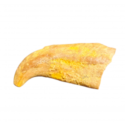 siroccopteryx moroccensis (claw)