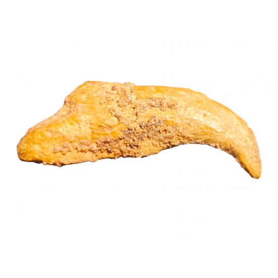 siroccopteryx moroccensis (claw)