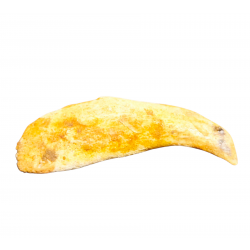 siroccopteryx moroccensis (claw)