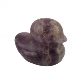canard amethyste
