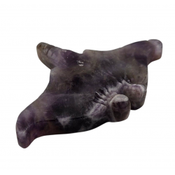 raie manta amethyste