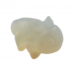 axolotl opaline