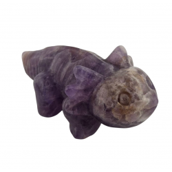 axolotl amethyste