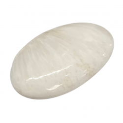 Palm stone scolecite