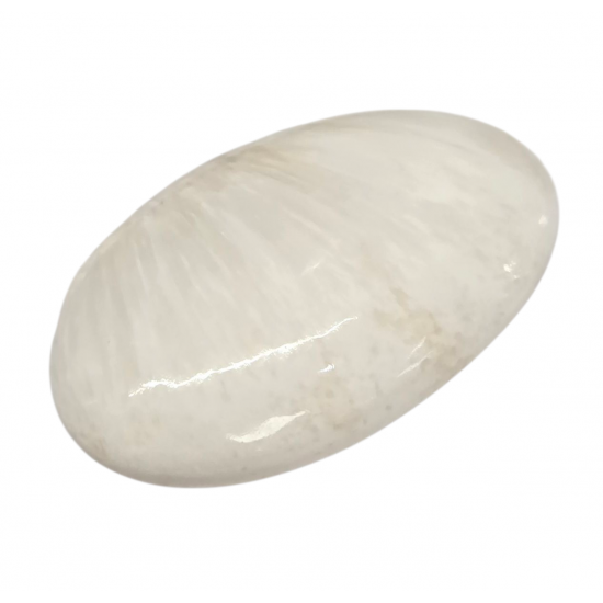 Palm stone scolecite