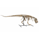 Tarbosaurus Bataar