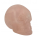 skull rose quartz