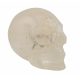 skull quartz