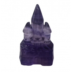 Chateau disney fluorine