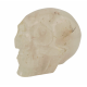skull quartz
