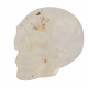 skull quartz