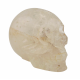 skull quartz