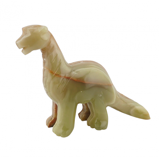 Diplodocus onyx Diplodocus onyx