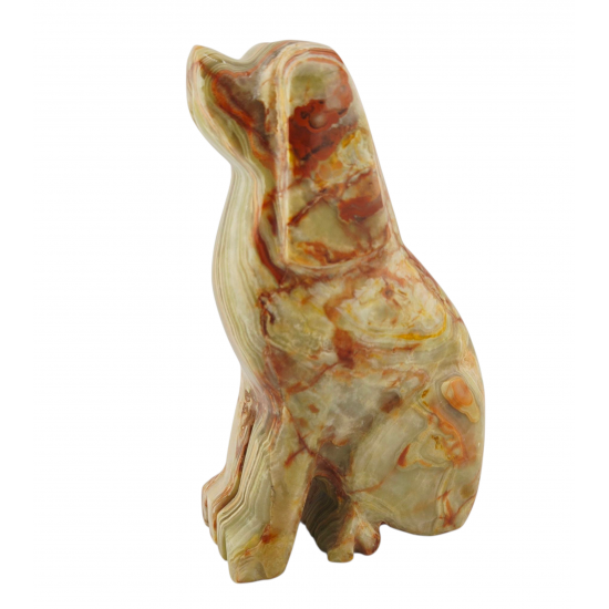 Dog onyx