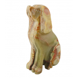 Dog onyx