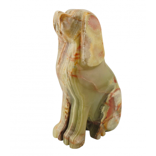 Dog onyx