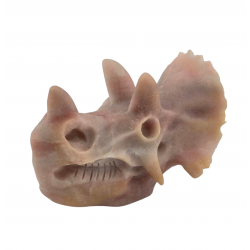 Triceratops pink opal