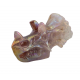 Triceratops titanium rose quartz
