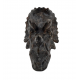 Triceratops Yooperllite