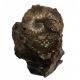 Scaphites nodosus