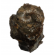 Scaphites nodosus