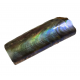 baculites scotti