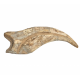 spinosaurus aegypticus claw