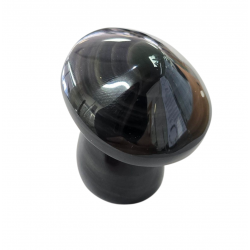 Champignon obsidienne oeil celeste