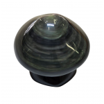 Champignon obsidienne oeil celeste