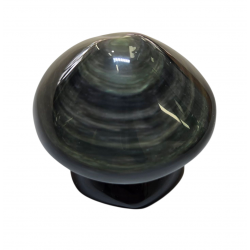 Champignon obsidienne oeil celeste