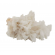 mesolite