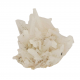 mesolite